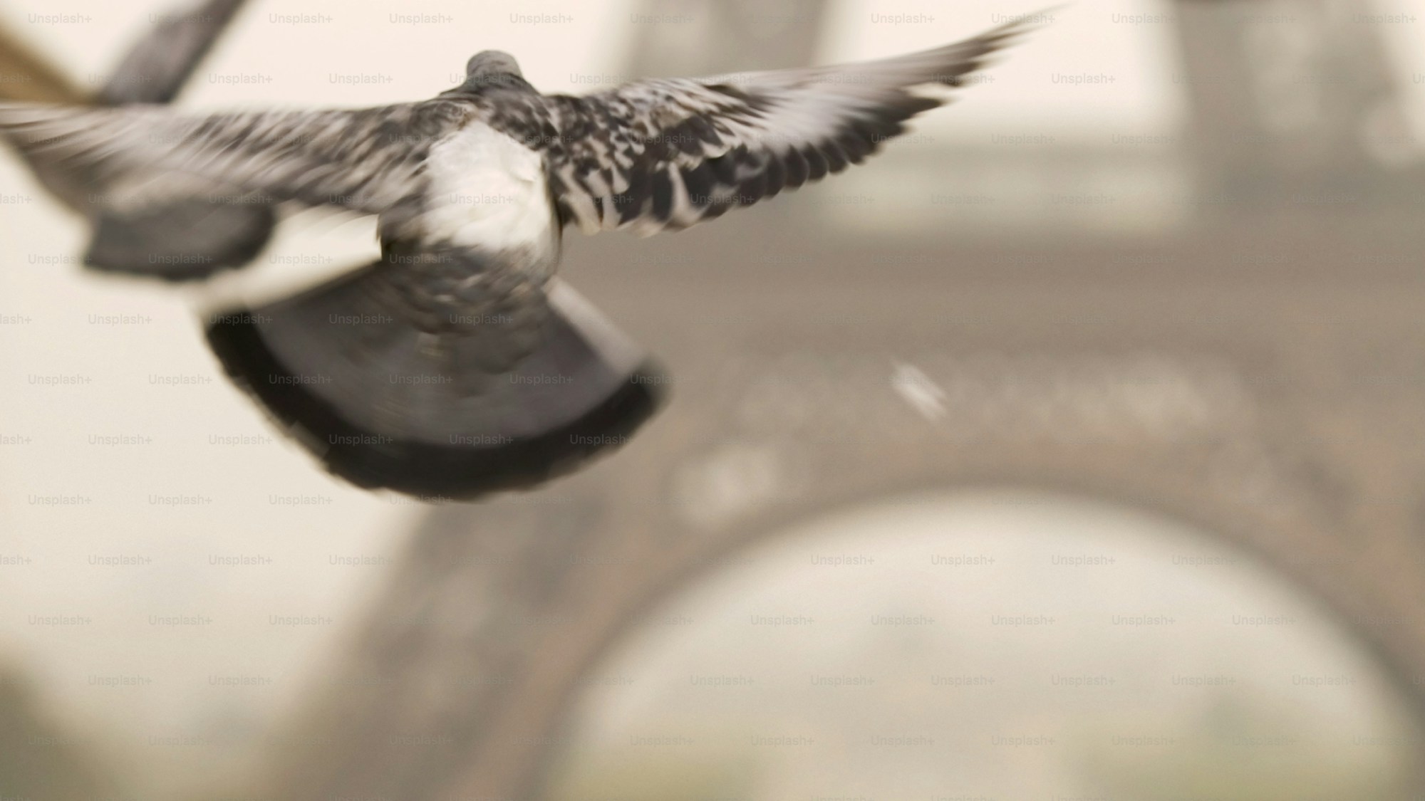 Paris Fashion Week 2026: The Ultimate Fashion Calendar